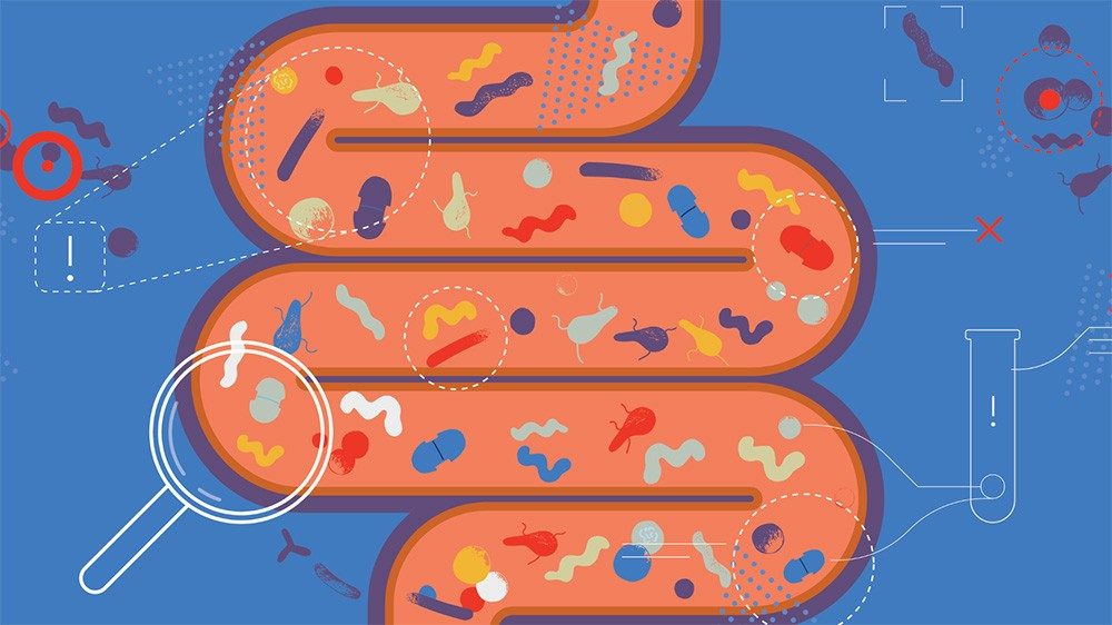 An orange graphic of an intestine with abstract yellow, blue, purple and white microbes