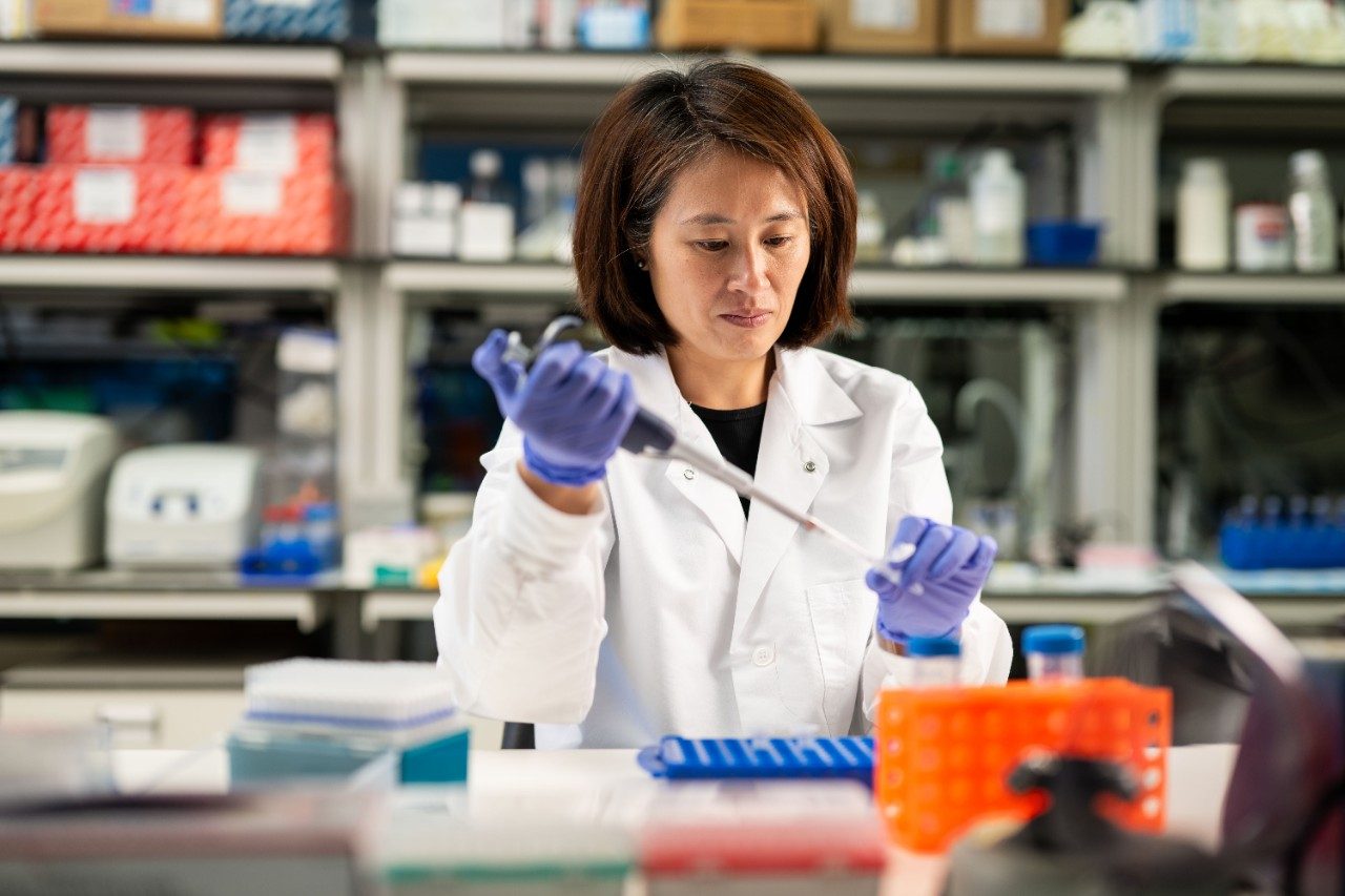 Dr. Angela Ting in her lab
