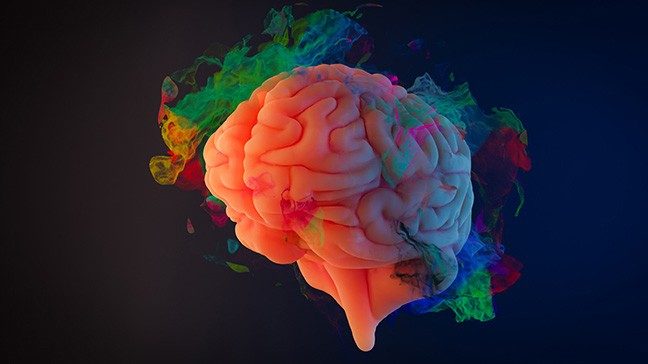 A pink human brain surrounded by multicolored smoke