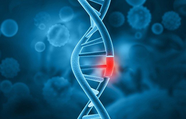 Light blue double stranded DNA with red portion indicating damaged component on dark blue background